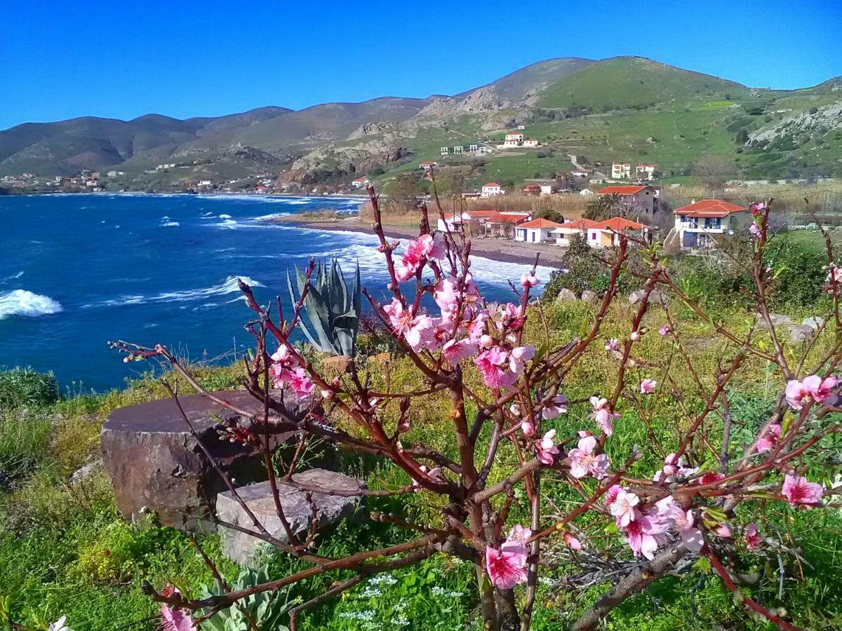 Вилла Enalion House Agios Ioannis Kaspaka Экстерьер фото